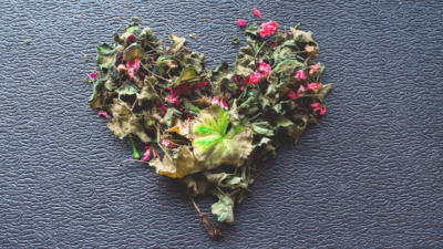 Heart made of dried flowers on blue background